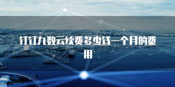 钉钉九数云续费多少钱一个月的费用