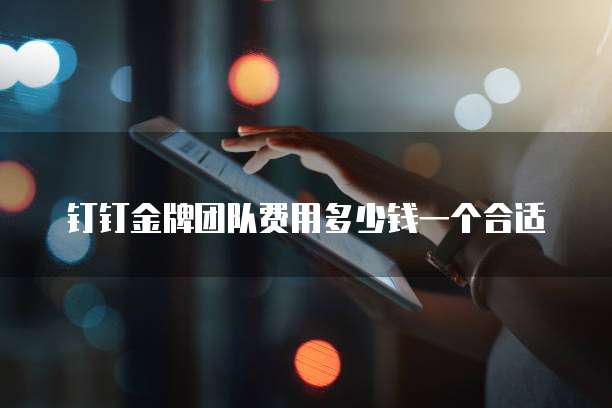 钉钉金牌团队费用多少钱一个合适