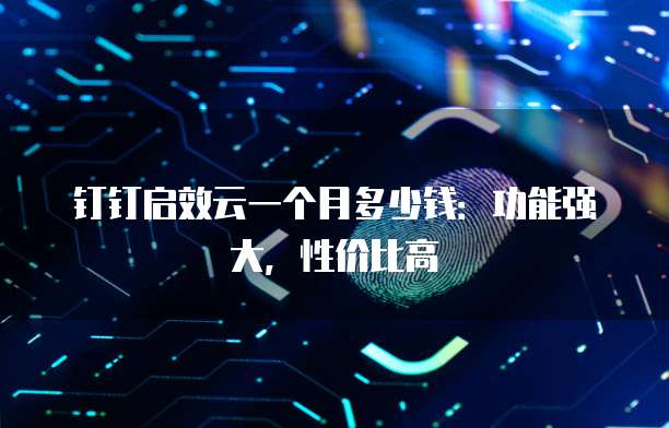 钉钉启效云一个月多少钱:功能强大,性价比高