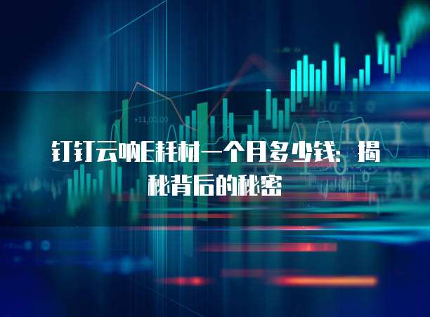 钉钉云呐E耗材一个月多少钱:揭秘背后的秘密