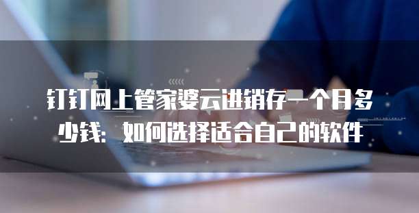 钉钉网上管家婆云进销存一个月多少钱:如何选择适合自己的软件