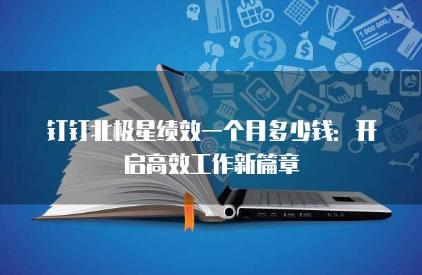 钉钉北极星绩效一个月多少钱:开启高效工作新篇章