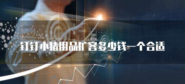钉钉小猪用品扩容多少钱一个合适