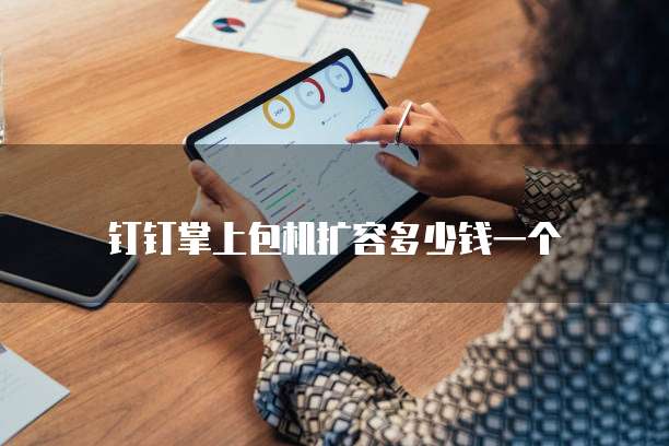 钉钉掌上包机扩容多少钱一个