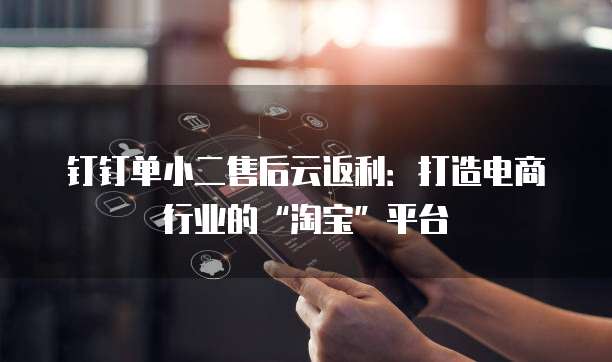 钉钉单小二售后云返利:打造电商行业的“淘宝”平台