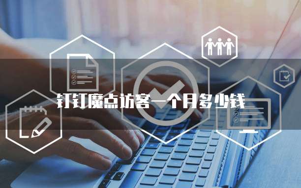 钉钉魔点访客一个月多少钱