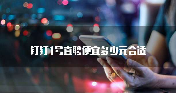 钉钉1号直聘便宜多少元合适