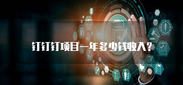 钉钉钉项目一年多少钱收入?