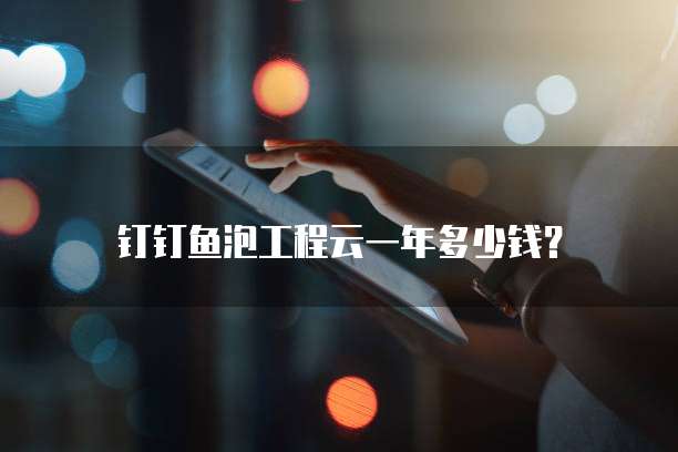 钉钉鱼泡工程云一年多少钱?