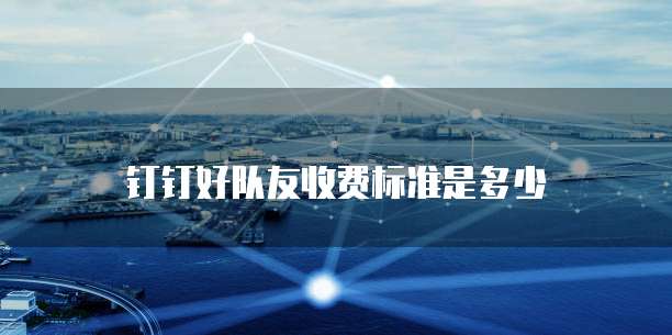 钉钉好队友收费标准是多少