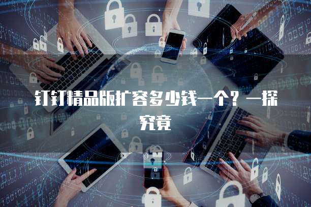钉钉精品版扩容多少钱一个?一探究竟