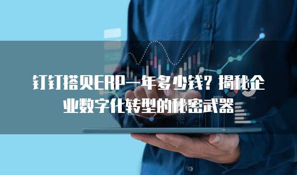 钉钉搭贝ERP一年多少钱?揭秘企业数字化转型的秘密武器