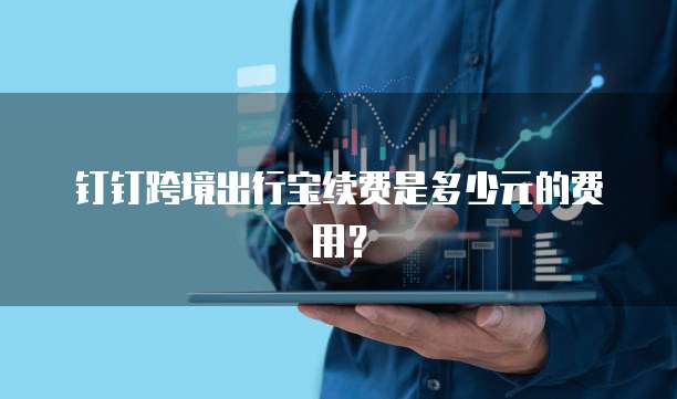 钉钉跨境出行宝续费是多少元的费用?