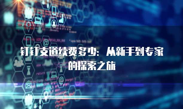 钉钉支道续费多少:从新手到专家的探索之旅