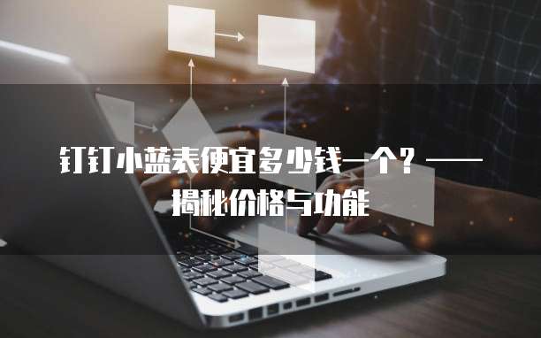 钉钉小蓝表便宜多少钱一个?——揭秘价格与功能