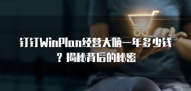 钉钉WinPlan经营大脑一年多少钱?揭秘背后的秘密