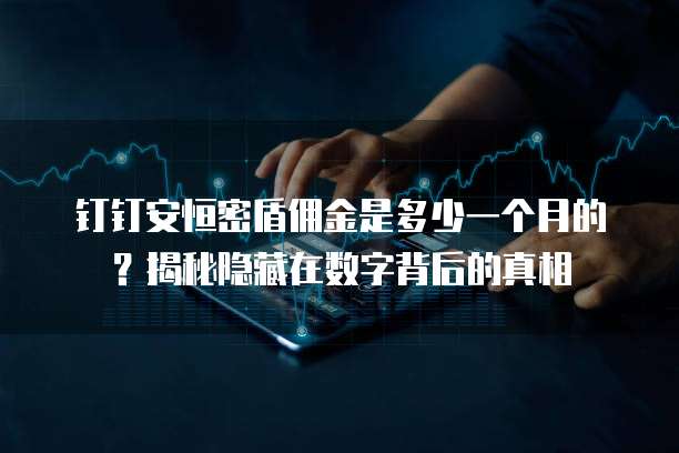 钉钉安恒密盾佣金是多少一个月的?揭秘隐藏在数字背后的真相