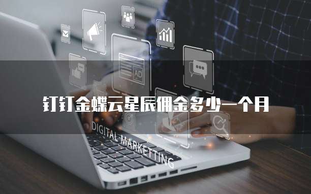 钉钉金蝶云星辰佣金多少一个月