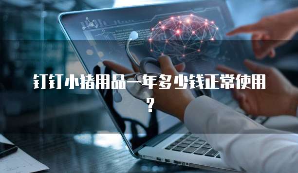 钉钉小猪用品一年多少钱正常使用？