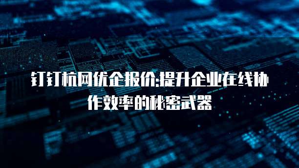 钉钉杭网优企报价:提升企业在线协作效率的秘密武器