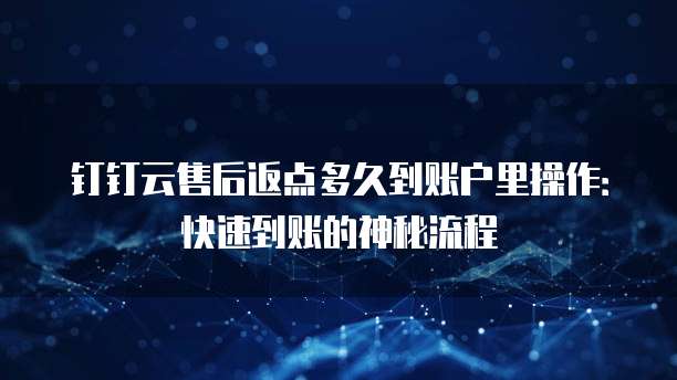 钉钉云售后返点多久到账户里操作:快速到账的神秘流程