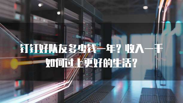 钉钉好队友多少钱一年？收入一千如何过上更好的生活？