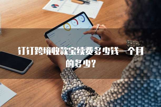 钉钉跨境收款宝续费多少钱一个月的多少?