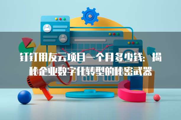 钉钉用友云项目一个月多少钱:揭秘企业数字化转型的秘密武器