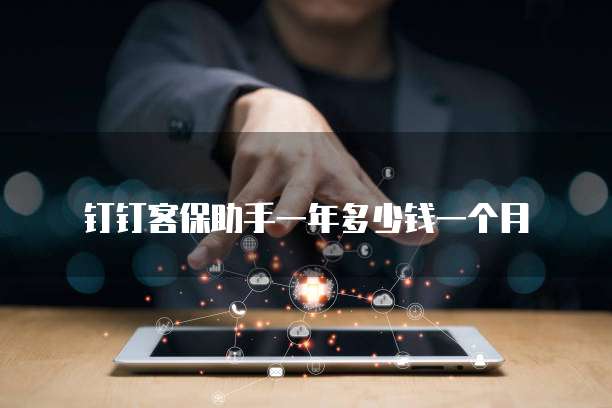 钉钉客保助手一年多少钱一个月