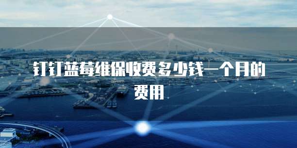 钉钉蓝莓维保收费多少钱一个月的费用