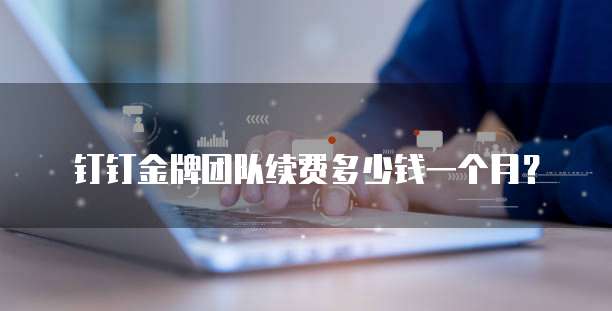 钉钉金牌团队续费多少钱一个月？