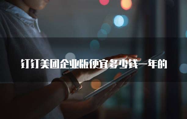 钉钉美团企业版便宜多少钱一年的