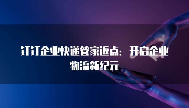钉钉企业快递管家返点:开启企业物流新纪元