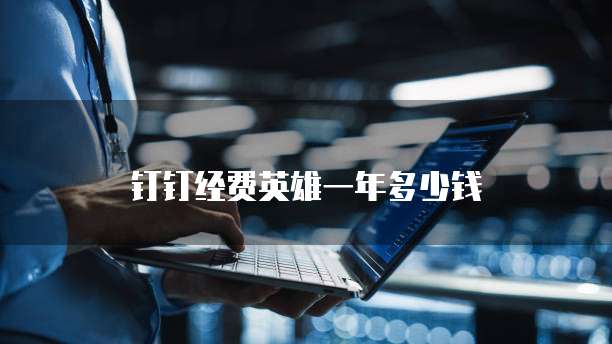 钉钉经费英雄一年多少钱