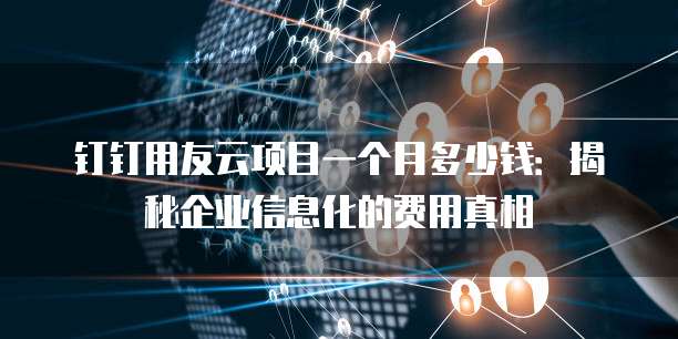 钉钉用友云项目一个月多少钱:揭秘企业信息化的费用真相