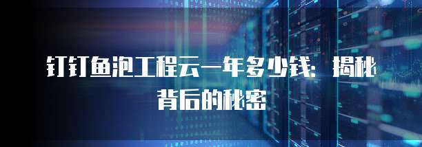 钉钉鱼泡工程云一年多少钱:揭秘背后的秘密