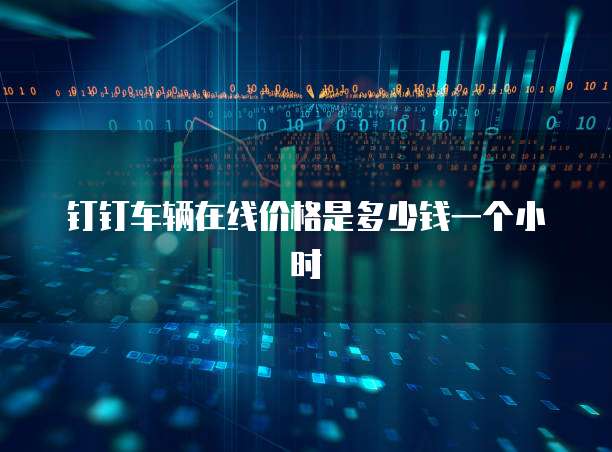 钉钉车辆在线价格是多少钱一个小时