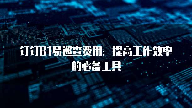 钉钉B1易巡查费用:提高工作效率的必备工具
