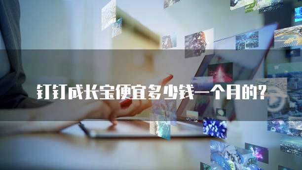 钉钉成长宝便宜多少钱一个月的?
