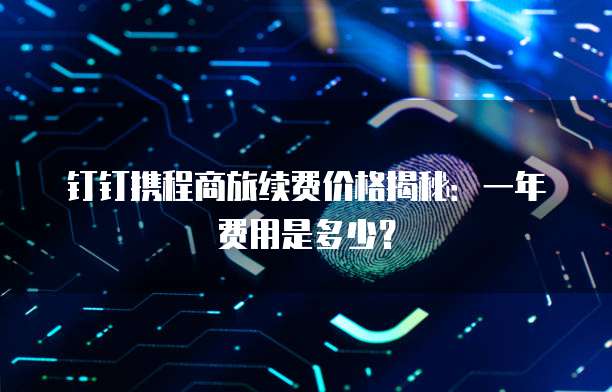 钉钉携程商旅续费价格揭秘:一年费用是多少?