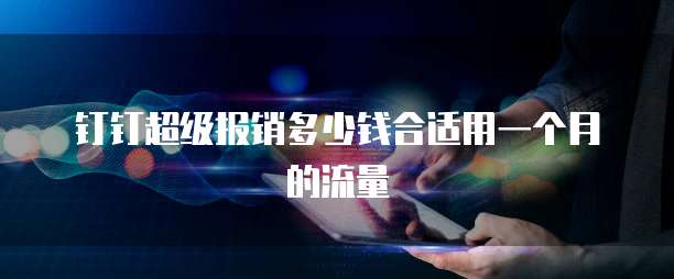 钉钉超级报销多少钱合适用一个月的流量