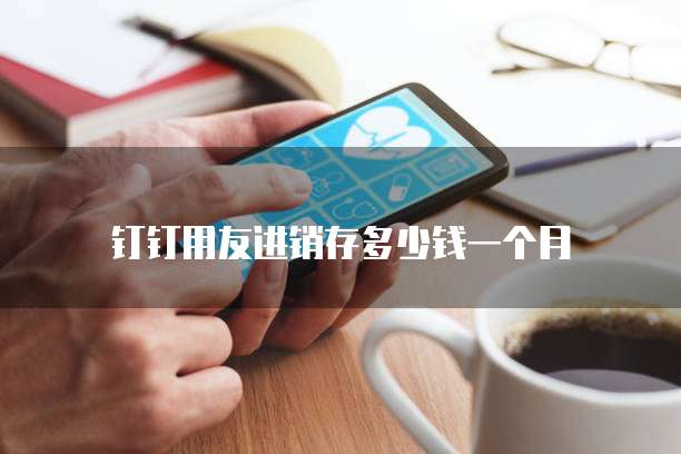 钉钉用友进销存多少钱一个月
