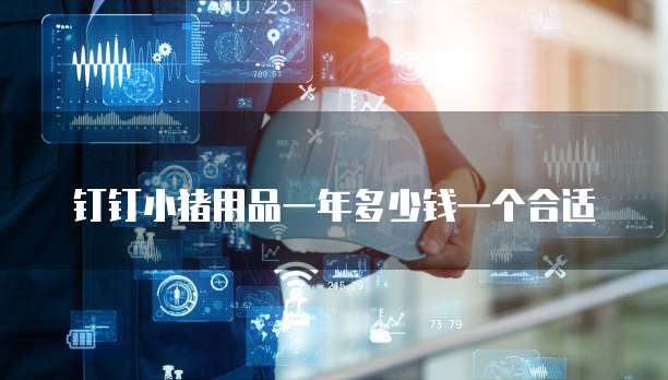钉钉小猪用品一年多少钱一个合适