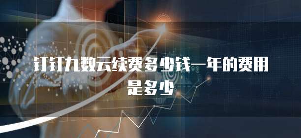 钉钉九数云续费多少钱一年的费用是多少