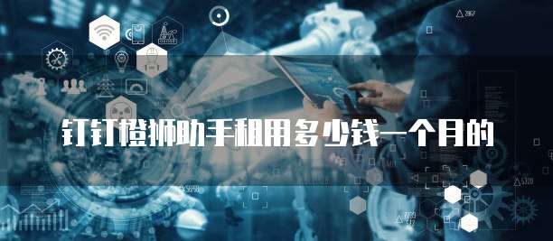 钉钉橙狮助手租用多少钱一个月的