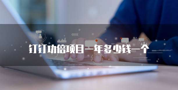 钉钉功倍项目一年多少钱一个