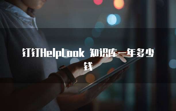 钉钉HelpLook 知识库一年多少钱