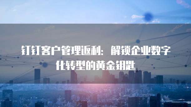 钉钉客户管理返利：解锁企业数字化转型的黄金钥匙