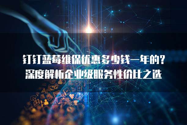 钉钉蓝莓维保优惠多少钱一年的?深度解析企业级服务性价比之选