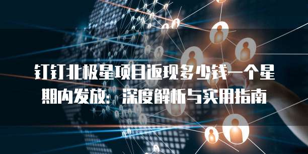 钉钉北极星项目返现多少钱一个星期内发放:深度解析与实用指南